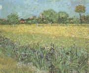Vincent Van Gogh, View of Arles with Irises in the Foreground (nn04)
